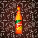 Polar 600ml RET.