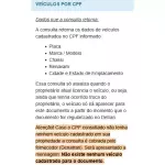 VEÍCULOS POR CPF