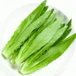 YOU MAI 油麦菜