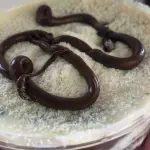Bolo de pote - Ninho com Nutella