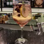 Gin Tônica