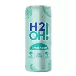 H2o Limoneto Zero açúcar
