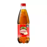 Sidral Mundet 600ml