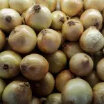 Cebolla blanca