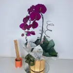 A438 Orquidea Cascata "Elegante"