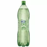 H2O