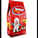SHAGGY CACHORRO