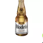 Modelo