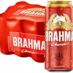 PACK DE BRAHMA QUENTE 473ml