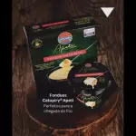 FONDUE CATUPIRY APETI 250g