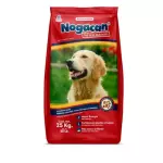 NOGACAN ADULTO