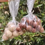 Drágeas de chocolate 0% lactose