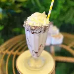 Frappe Coconut