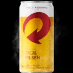 Skol 269ml