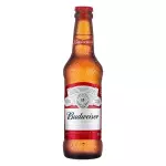 Budweiser Long Neck