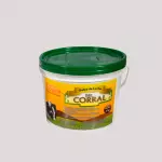 Galon de Arequipe el Corral 5kg