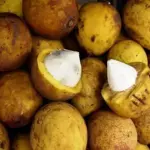Vitamina de Bacuri (300ml)