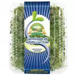 Germinado de Alfalfa con Kale