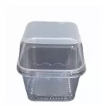 Contenedores Cuadrado 8oz 585