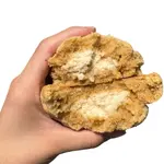 GALLETA DE HORCHATA