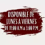 HORARIO DE DISPONIBILIDAD