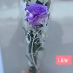 Botão de rosa lilás
