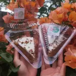 Rebanada de Pastel de Zanahoria🥕🎂