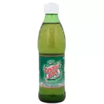 Canada Dry 300 ml