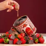 BARDAN CHOCOBERRY