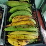 Plátanos