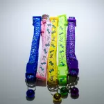 Collar de Huesos