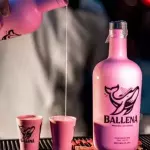 LICOR BALLENA MORANGO COM TEKILA