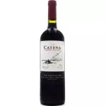 CATENA CABERNET SAUVIGNON 2024