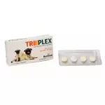 Triplex