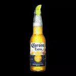 Corona Long neck