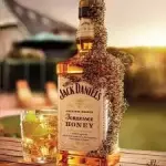 jack daniels HONEY