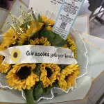 15 GIRASOLES