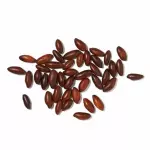 Castanha do Baru - 100g