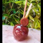 Manzana tipo ricaleta