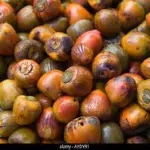 PEJIBAYE COCINADO 1 KILO