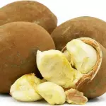 Cupuaçu