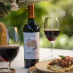 santa Carolina Carmenere Botella