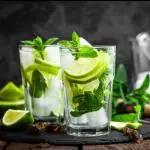 Terrario/ Mojito Cubano