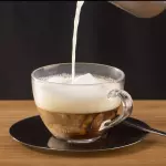 Capuccino Tradicional 9 oz