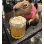 Capivara