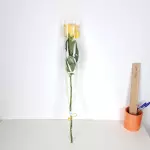 Botão de rosa AMARELO