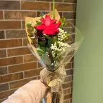 Rosa Solitária