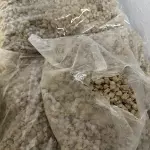 SALCHICHA ITALIANA