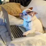 ¿Cómo hacer un pedido?