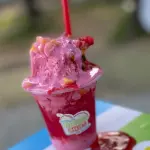 Raspacho Tropical
